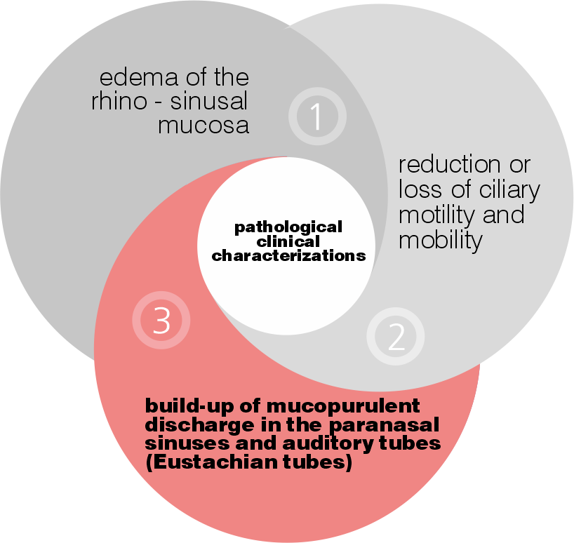 Build-up of mucopurulent discharge in the paranasal sinuses and auditory tubes